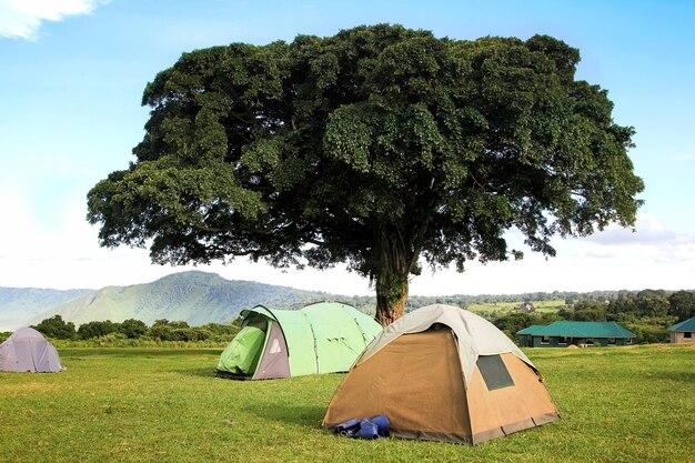 Acampamento nas montanhas da cratera de Ngorongoro África Tanzânia