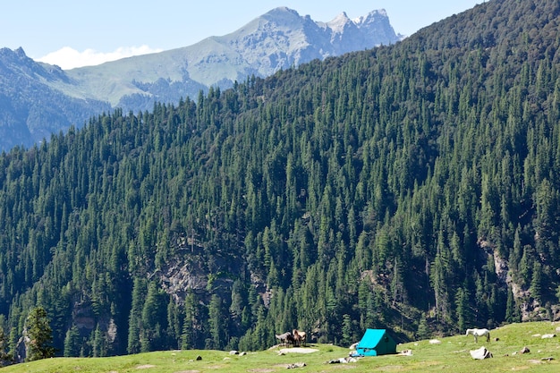 Acampamento nas montanhas kullu valley himachal pradesh índia