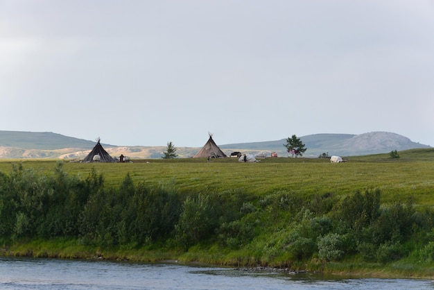 Foto acampamento nenets em yamal