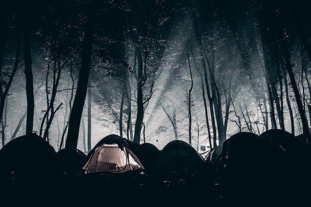 Foto acampar en el bosque