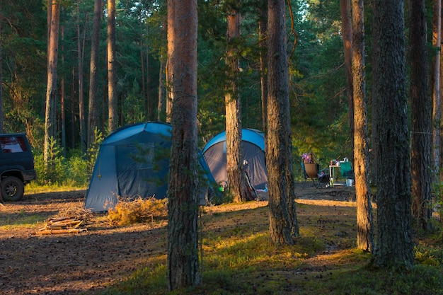 Acampar em uma floresta de pinheiros com uma barraca ao amanhecer Férias turísticas