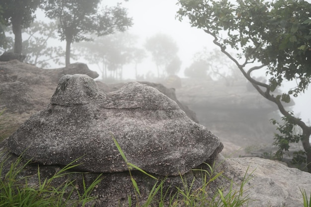 en el acantilado con atmósfera de niebla