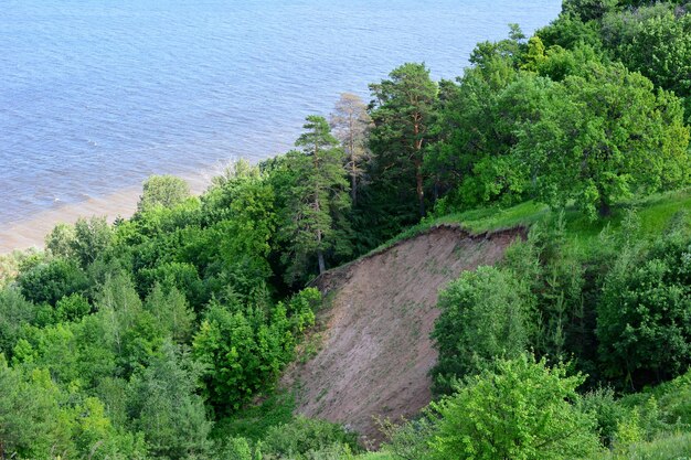 acantilado con bosque verde y río en el fondo espacio de copia