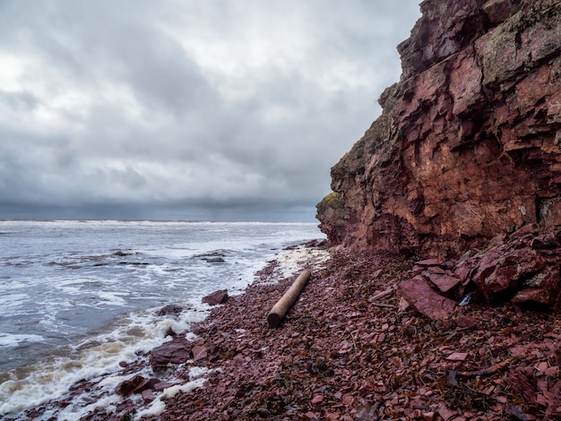 Un acantilado sobre el mar con una costa estrecha. Un gran tronco varado en la playa. Olas con espuma blanca ruedan en la orilla rocosa. Costa de Tersky, Cape Ship a la península de Kola.