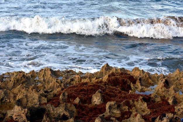 acantilados en la costa atlántica