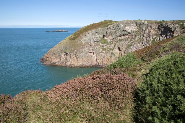 Acantilados e isla en Anglesey, Gales, Reino Unido