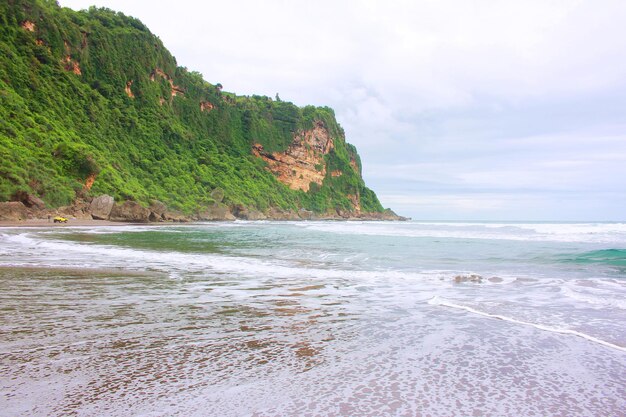 Acantilados de playa, olas y coral verde