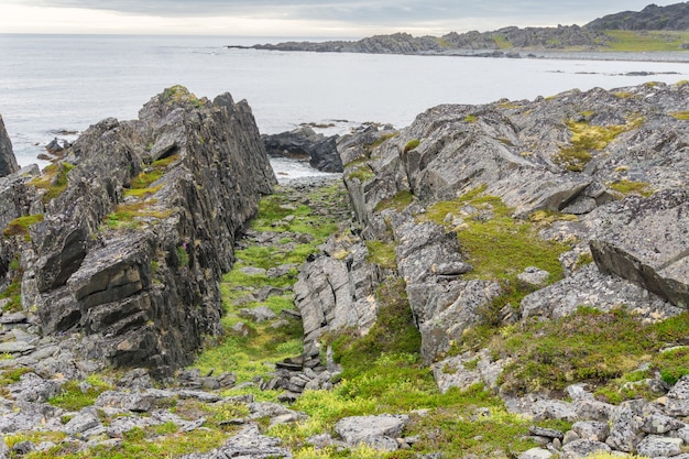 Acantilados rocosos en la costa del Mar de Barents, el Parque Nacional Varangerhalvoya, la península de Varanger, Finnmark, Noruega