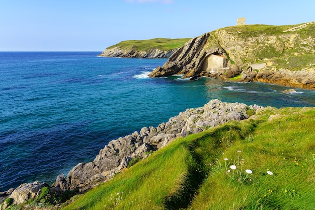 Acantilados con vistas al mar con prados de hierba verde y flores en verano