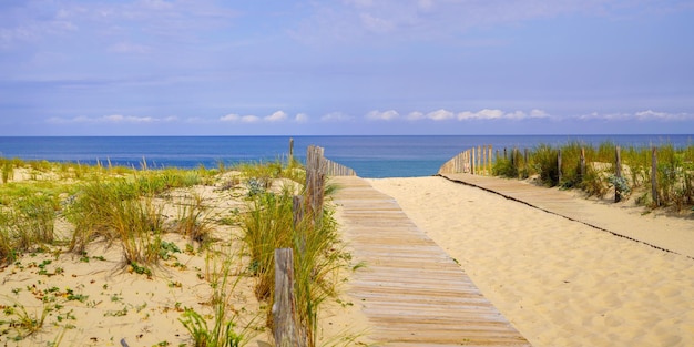 Acceso al mar de dunas en el brillante día de verano vista panorámica del encabezado en la playa atlántica del océano Cap-Ferret