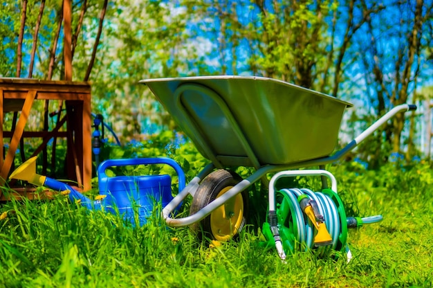 Foto accesorios de jardín con elementos amarillos sobre la hierba verde.