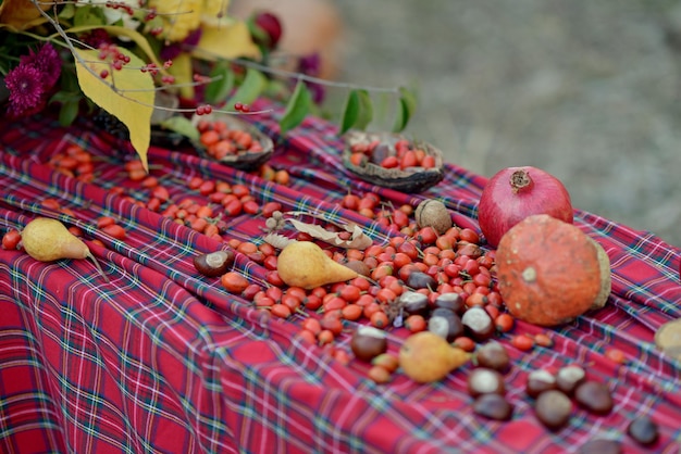 Acción de gracias, decoración de otoño, cosecha de otoño, tiempo de otoño, ramo y decoración de otoño