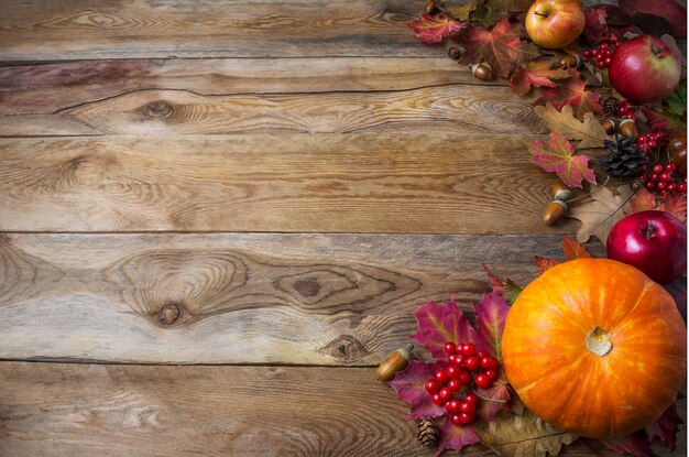 Acción de gracias o saludo de otoño con calabazas y hojas de otoño
