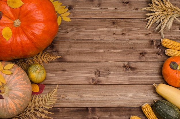 Acción de gracias otoño bodegón de verduras con espacio de copia sobre un fondo de madera. Fiesta de la cosecha.