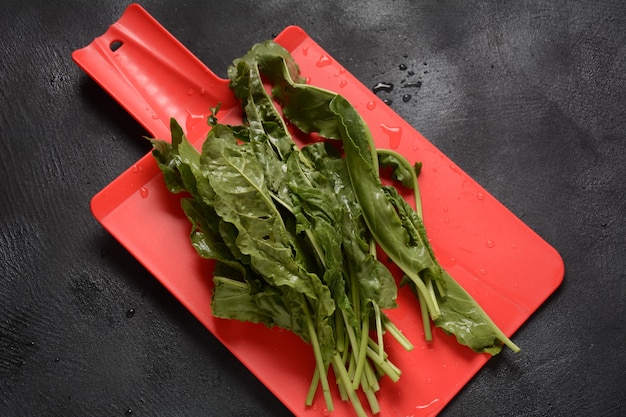 Acedera verde fresca sobre tablero de cocina de corte rojo