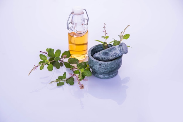 Aceite ayurvédico de Tulsi, extracto de hierba reina en botella de vidrio con ramas de albahaca santa verde fresca y mortero con mortero. Aislado sobre fondo de colores. enfoque selectivo