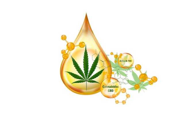 aceite de cannabis