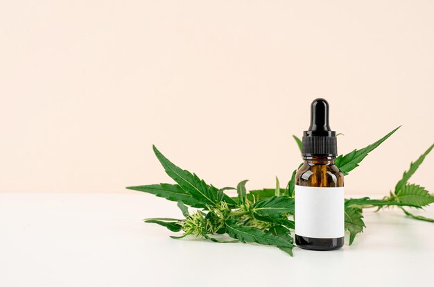 aceite de cbd y hojas de cannabis cosméticos vista delantera en fondo naranja