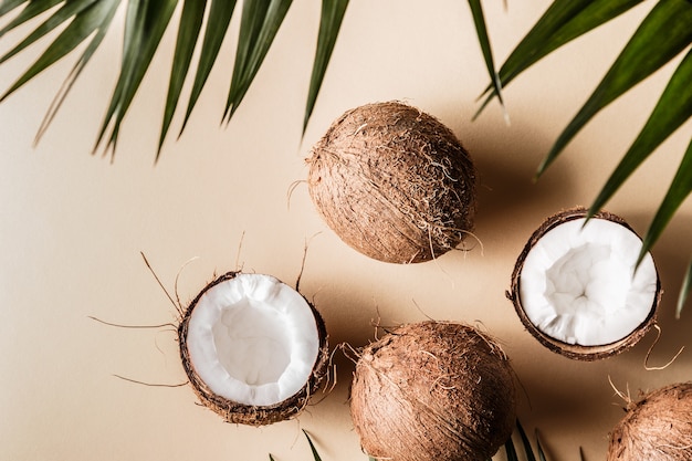 Aceite de coco y cocos con hojas tropicales.