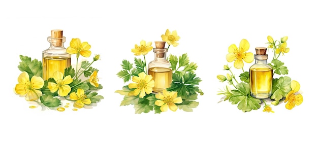 aceite cosmético de celandina vegetal extracto generado ai calmante ingrediente para el cuidado de la piel extracto de aceite cosméico de celandine vegetal ilustración acuarela