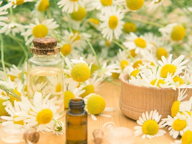 Aceite esencial en una botella de vidrio con flores de manzanilla fresca concepto de spa aceite de flores de manzanilla en una mesa de madera