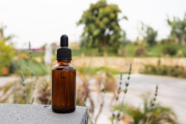 Aceite esencial en botella de vidrio en planta verde al aire libre gran diseño para cualquier propósito Producto de belleza líquido cosmético Fondo de la naturaleza