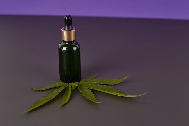 Aceite esencial de cannabis Extracto de aceite de CBD en frasco cuentagotas con hoja verde de cannabis Marihuana Marihuana medicinal Planta medicinal a base de hierbas Espacio para texto