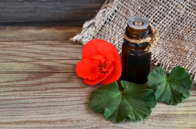 Aceite esencial de geranio en una botella de vidrio con flores y hojas de la planta de geranio. Aceite de geranio para spa, aromaterapia y cuidado corporal. Extraer aceite de geranio.