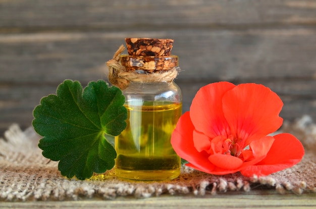 Aceite esencial de geranio en una botella de vidrio con flores y hojas de la planta de geranio. Aceite de geranio para spa, aromaterapia y cuidado corporal. Extraer aceite de geranio.