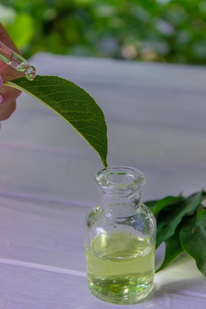 Aceite esencial de hierbas en una botella pequeña naturaleza