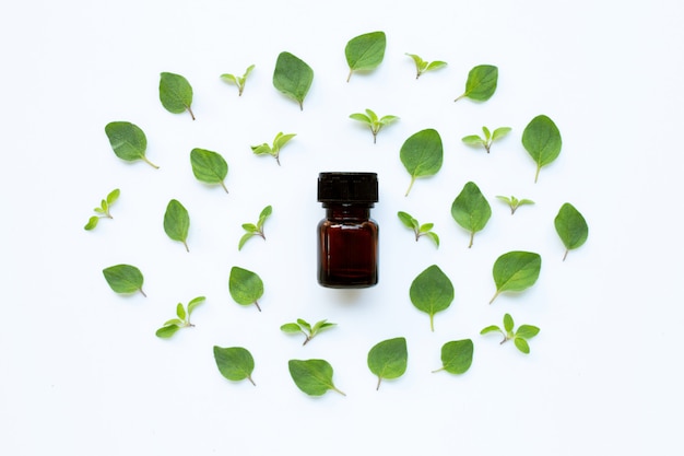 Aceite esencial con hojas de orégano fresco en blanco.