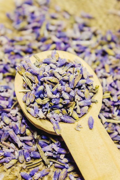 Aceite esencial de lavanda. Enfoque selectivo Naturaleza bio flores.