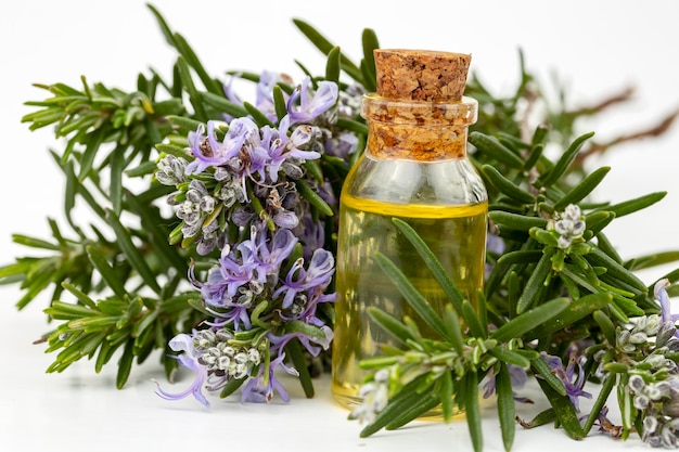 Aceite esencial de romero en una botella pequeña. Aceite cosmético de aroma natural