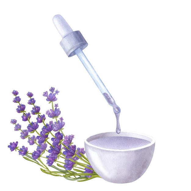 Aceite esencial violeta que gotea de un tazón de pipeta ramo de lavanda Ilustración acuarela dibujada a mano aislada sobre fondo blanco