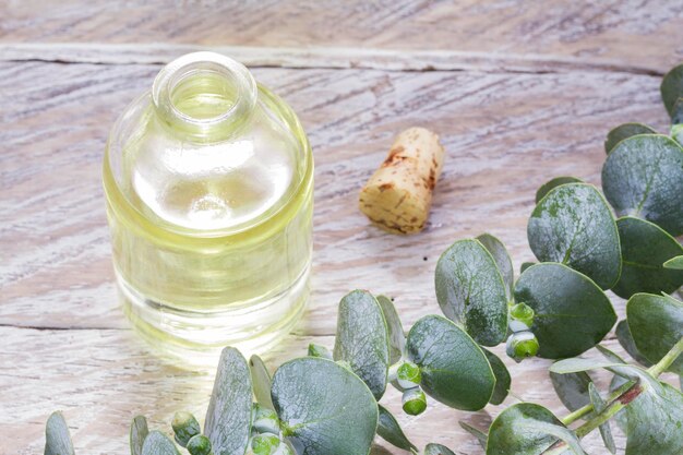 Aceite y hojas de eucalipto en la mesa de madera.