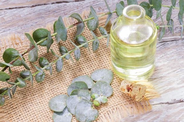 Aceite y hojas de eucalipto en la mesa de madera.