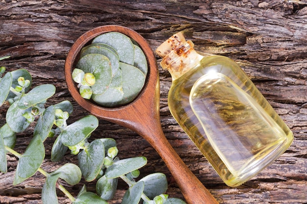 Aceite y hojas de eucalipto en la mesa de madera.