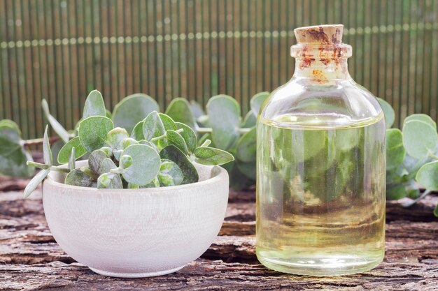 Aceite y hojas de eucalipto en la mesa de madera.