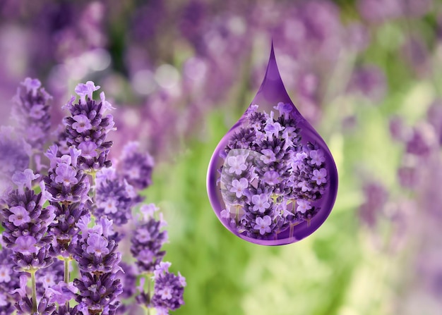 aceite de lavanda