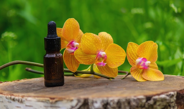 Aceite de masaje y piedras con orquídea amarilla