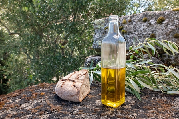 Aceite de oliva en botella en la naturaleza con rama de olivo y fondo rocoso