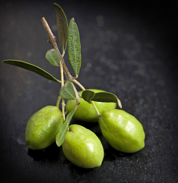 Aceite de oliva y rama de olivo sobre fondo negro