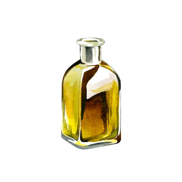 Aceite de olivas y hierbas Ilustración acuarela de aceite de olivas y hierbas albahaca y tomillo