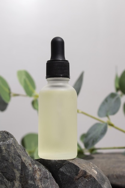 Aceite de suero de botella cosmética en soporte de piedra con rama de eucalipto sobre fondo gris Concepto de cosmética natural producto para el cuidado de la piel Concepto de belleza para el cuidado del cuerpo de la cara