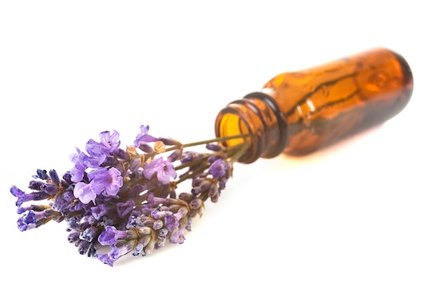 aceites esenciales de lavanda