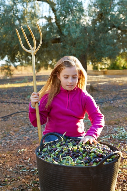 Aceitunas cosecha granjero niño niña recogiendo