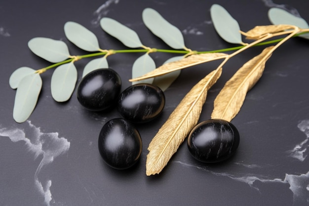 Aceitunas negras en una rama con hojas y aceitunas