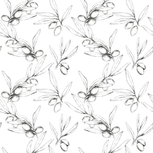 Las aceitunas y las ramas dibujadas con lápiz forman un patrón sin costuras Ilustración dibujada a mano adecuada para la impresión de telas papel tapiz