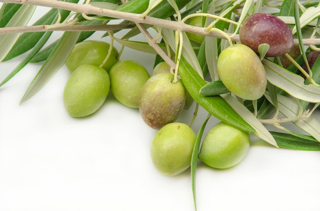 Aceitunas