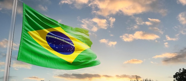 Acenando a bandeira nacional do Brasil